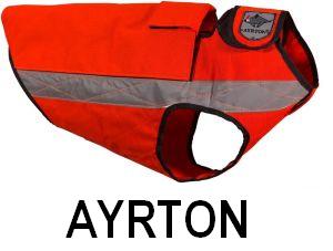 AYRTON