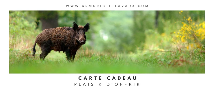 Plaisir d'offrir sanglier