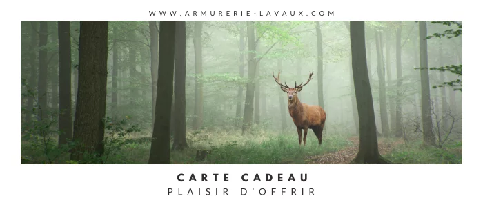 Plaisir d'offrir girly