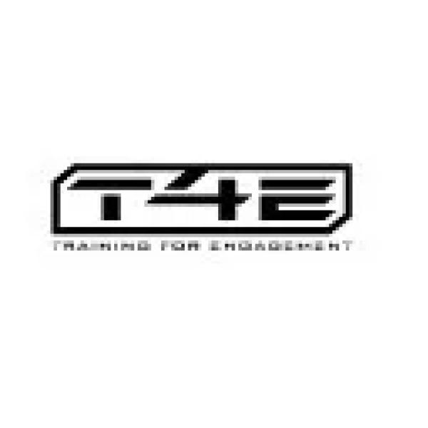 Arme T4E
