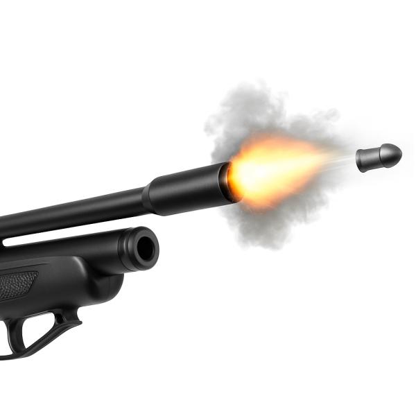 Carabine à plomb > 20 joules