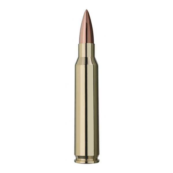 Munitions cal.223 Rem (5,56x45 Nato)
