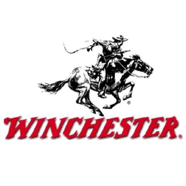 Munitions WINCHESTER cal.22 Magnum
