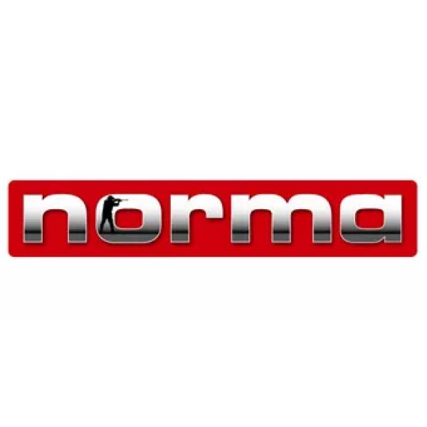 Ogives NORMA
