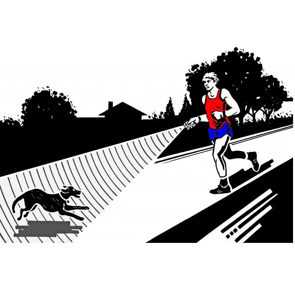 Ultrason anti chien
