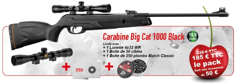 Carabine GAMO Big Cat 1000 Black Combo 
