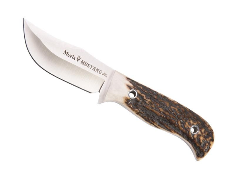 Poignard "MUSTANG" MUELA 8 cm lame inox manche cerf véritable