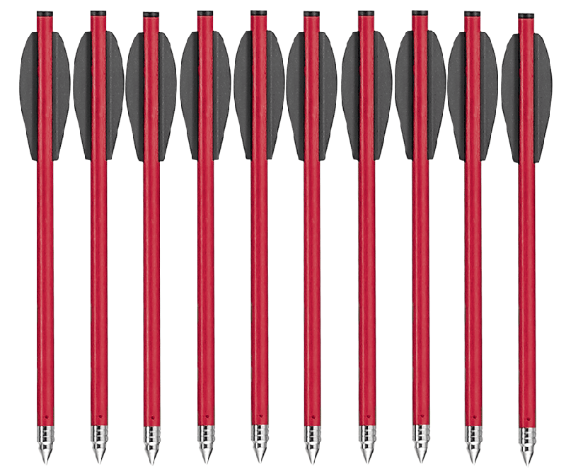 Pack Chasse de 6 Flèches de 16 pouces (40.6cm) + 3 Pointes de chasse