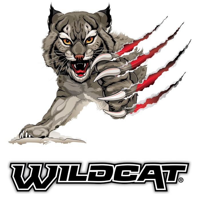 WINCHESTER cal.22Lr Wildcat Dynapoint /500 - Carabines de Tir sur ...