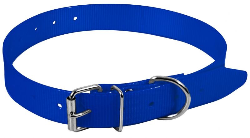 Collier pour chien Polyuréthane Bleu Fluo HB DOG taille 65 cm / largeur 25mm