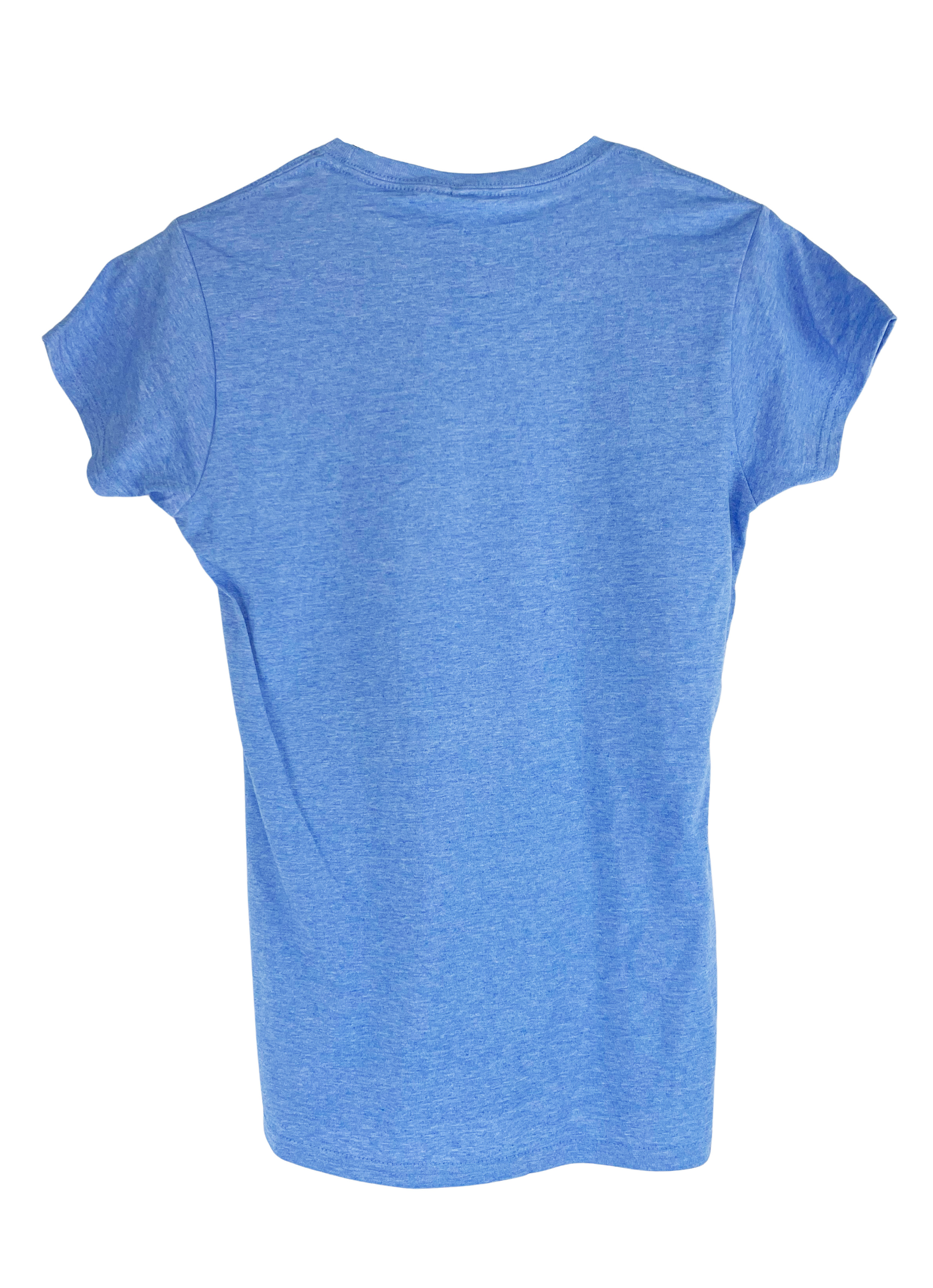 Chemise Vintage Smith & Wesson Barnfly Homme – Bleue, Motif Animal, Manches Longues, Taille M