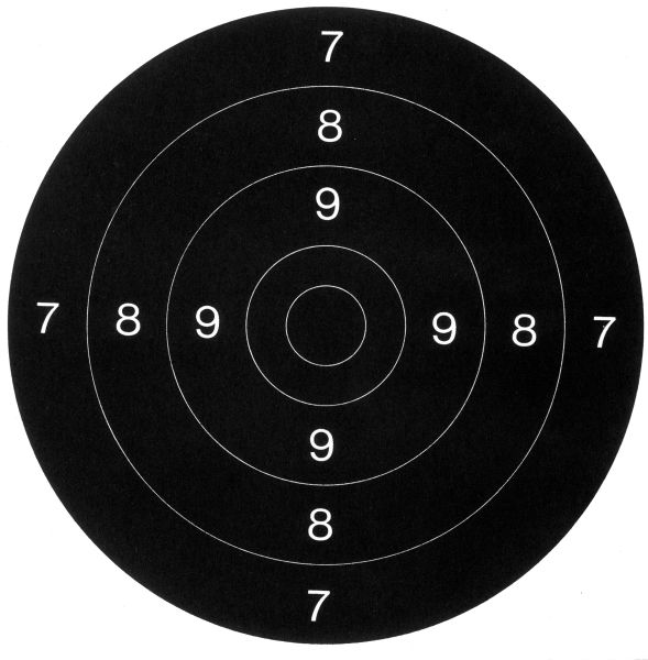 Centre de Cibles carton C50 21x21 cm (paquet de 100)