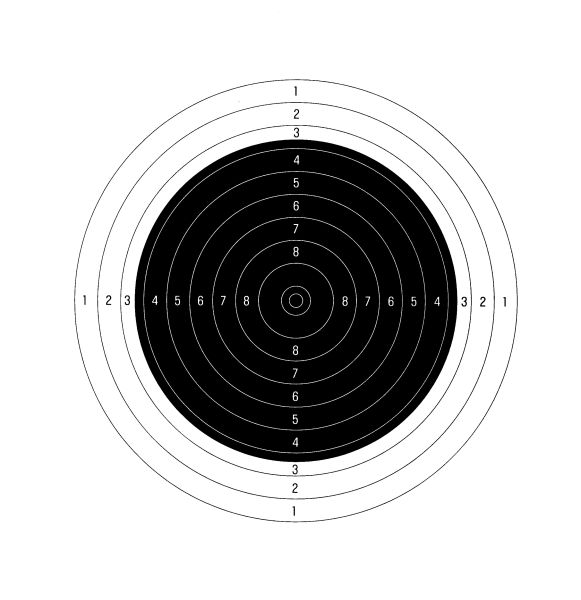 Cibles carton C21 21x21 cm (paquet de 100)