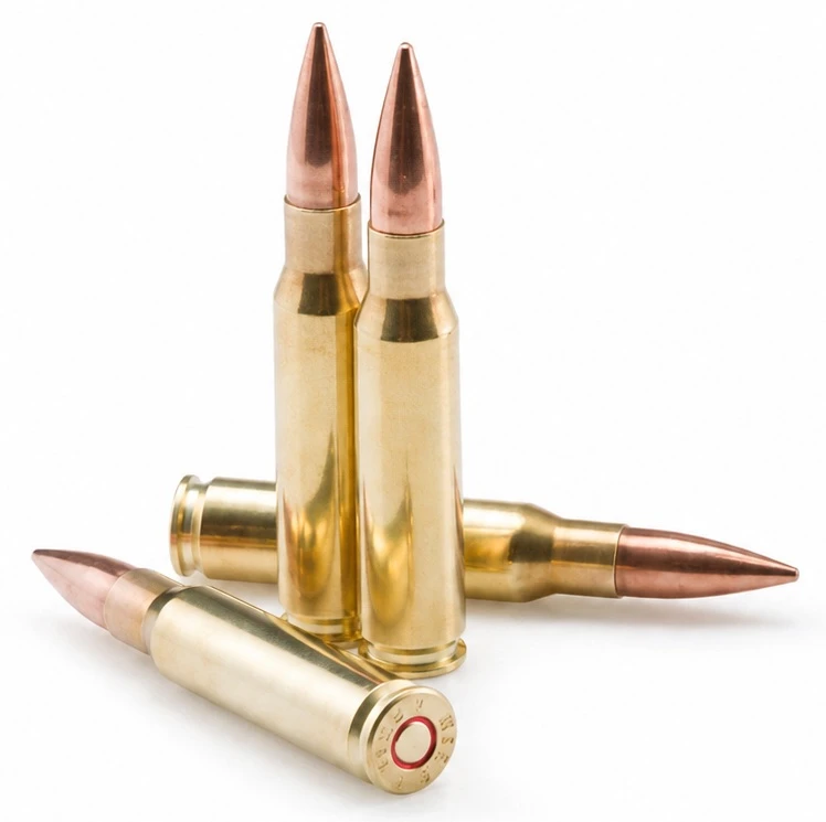 PARTIZAN cal.308 Win FMJ BT Subsonic 200 grains - 12.96 grammes /20