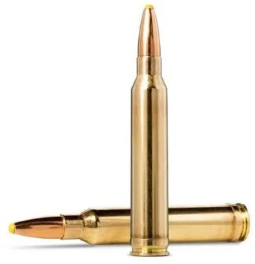 NORMA cal.300 Win Mag PPDC 180 grains - 11.7 grammes /20